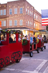 Trackless Train Ride