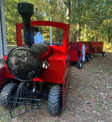 Trackless Train Ride